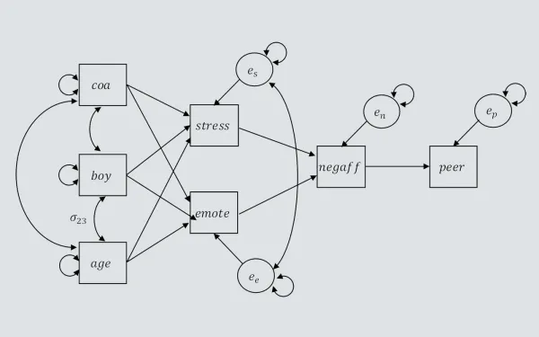 A path diagram