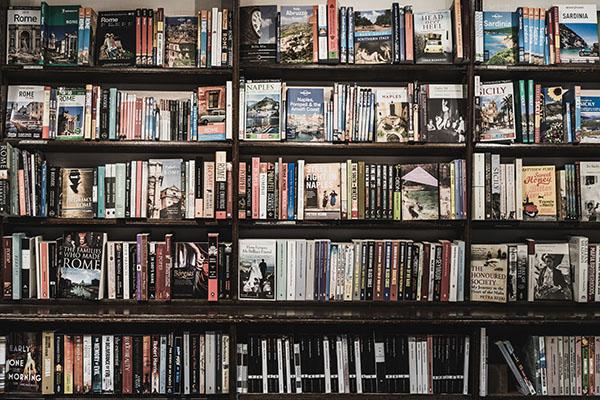 Bookshelf full of books