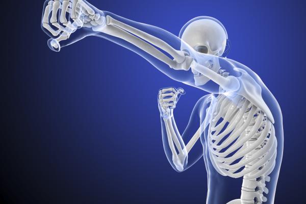 3D skeleton model punching the air