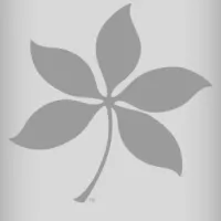 Newsletter Manager
