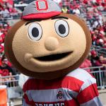 Brutus Buckeye