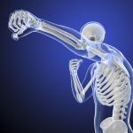 3D skeleton model punching the air